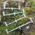 SOLAR Buzz Bary P1 2-Rod Fixed Buzzer Bars 6-Inch Approx